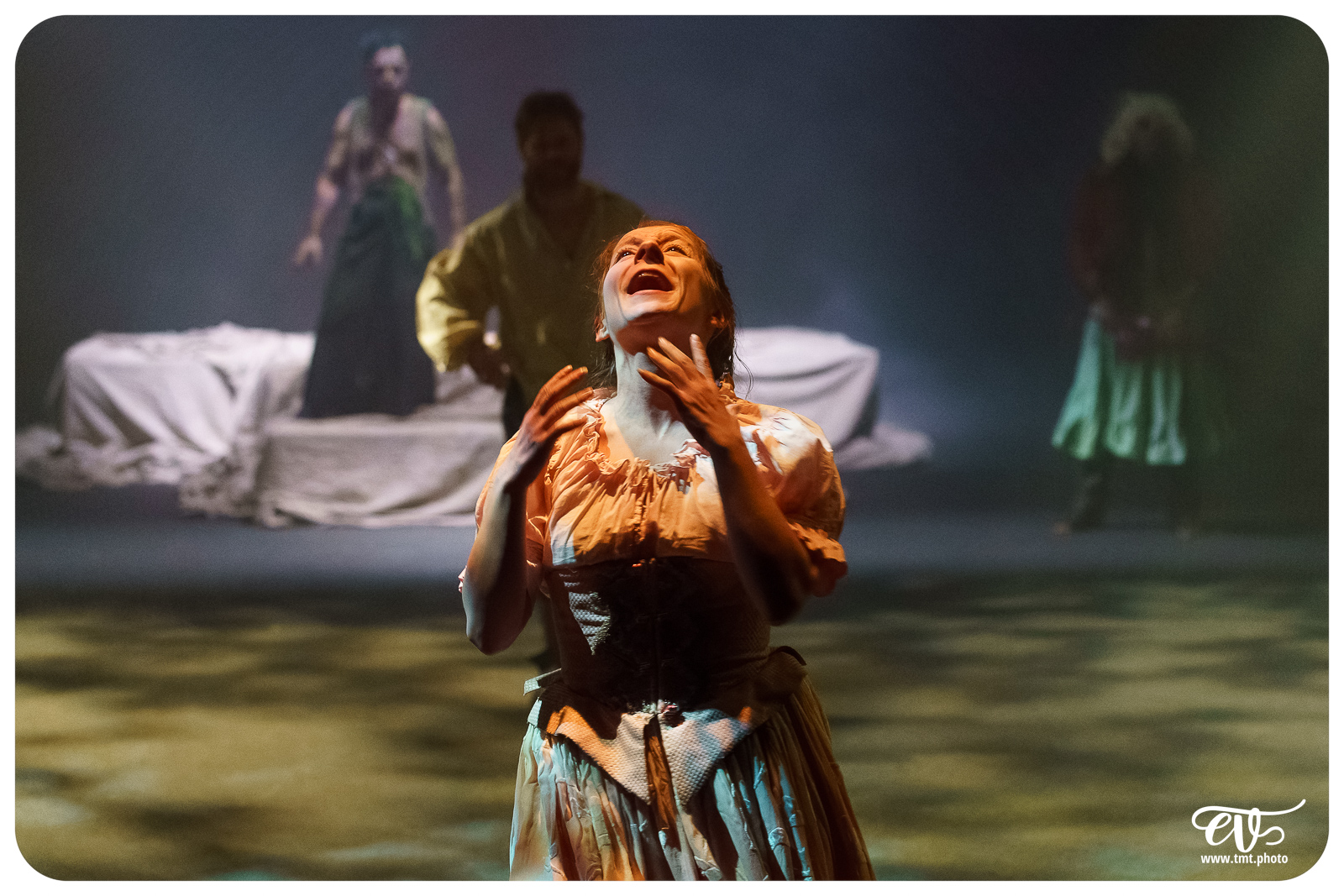 UN SONGE, UNE NUIT, L'ETE (CIE DU MATAMORE)